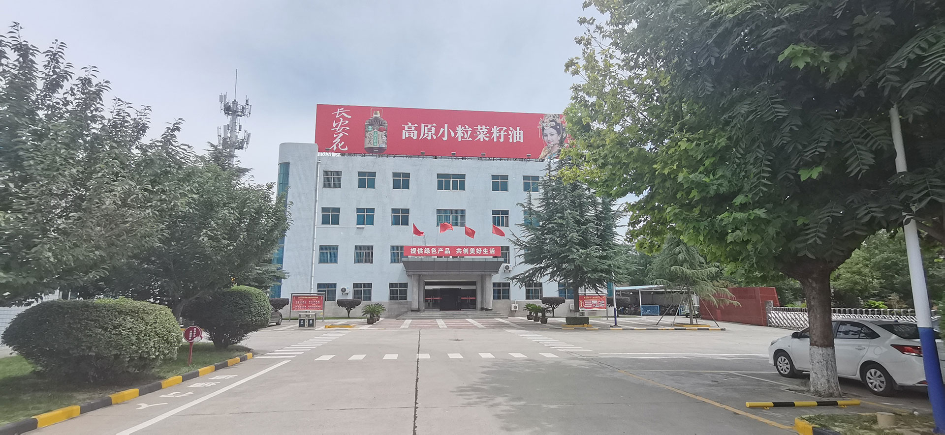 大楼网络用.jpg